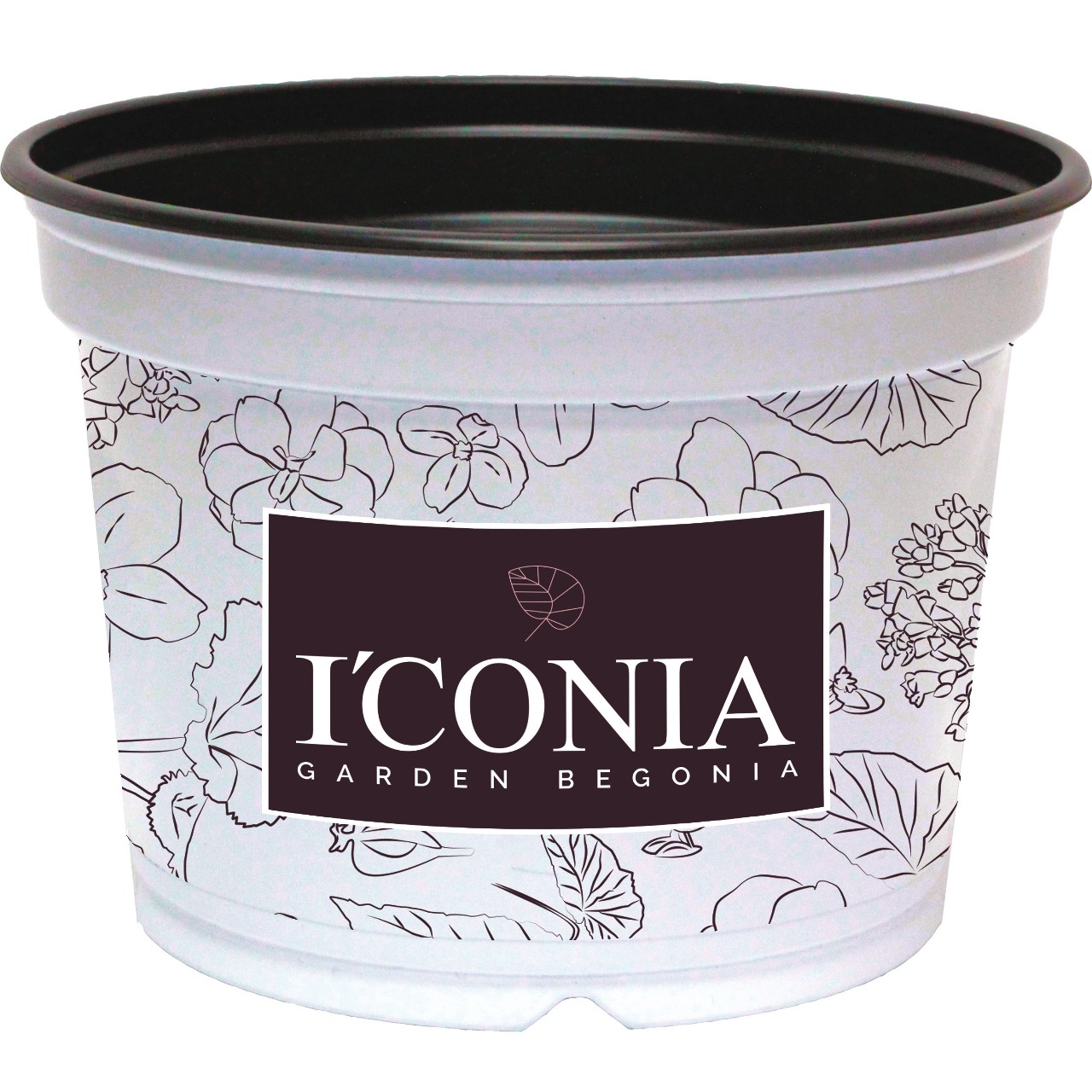 Pot&nbsp; ICONIA 12cm