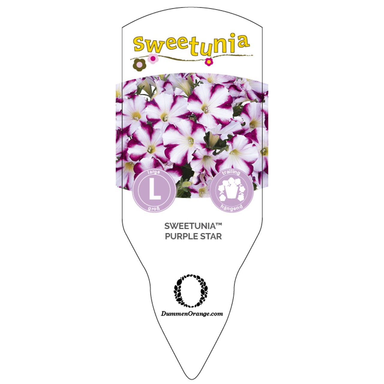 Tag Sweetunia™Purple Star