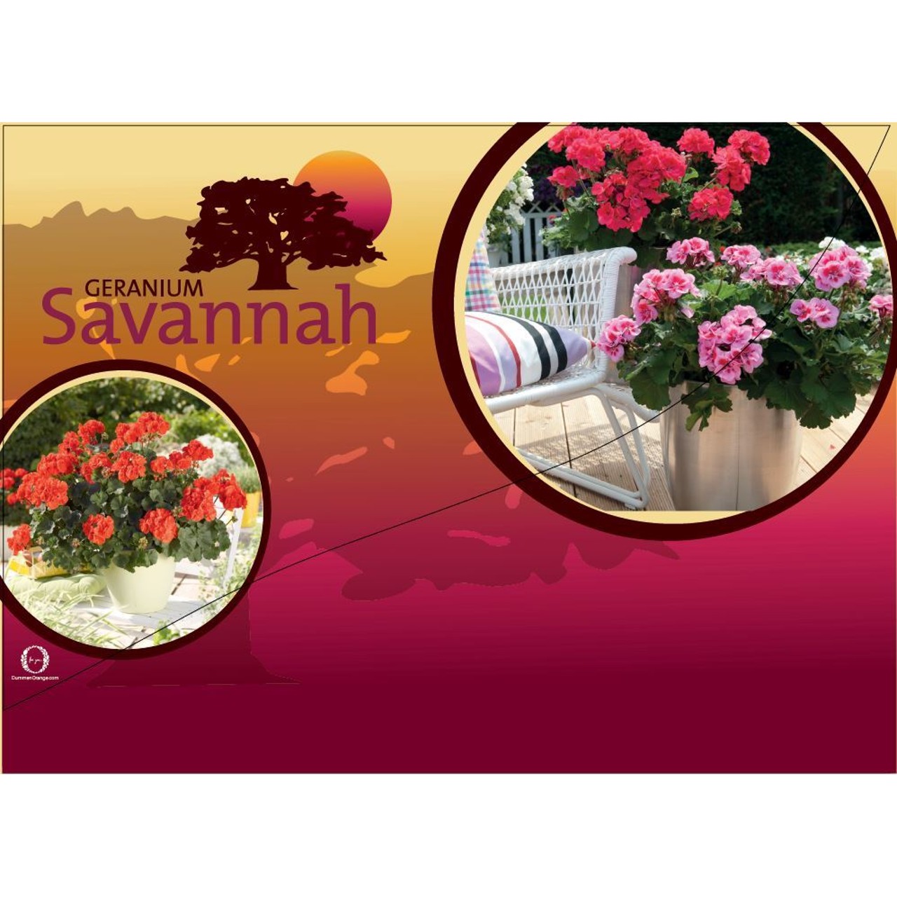 CC-Banner Savannah 50x35 cm