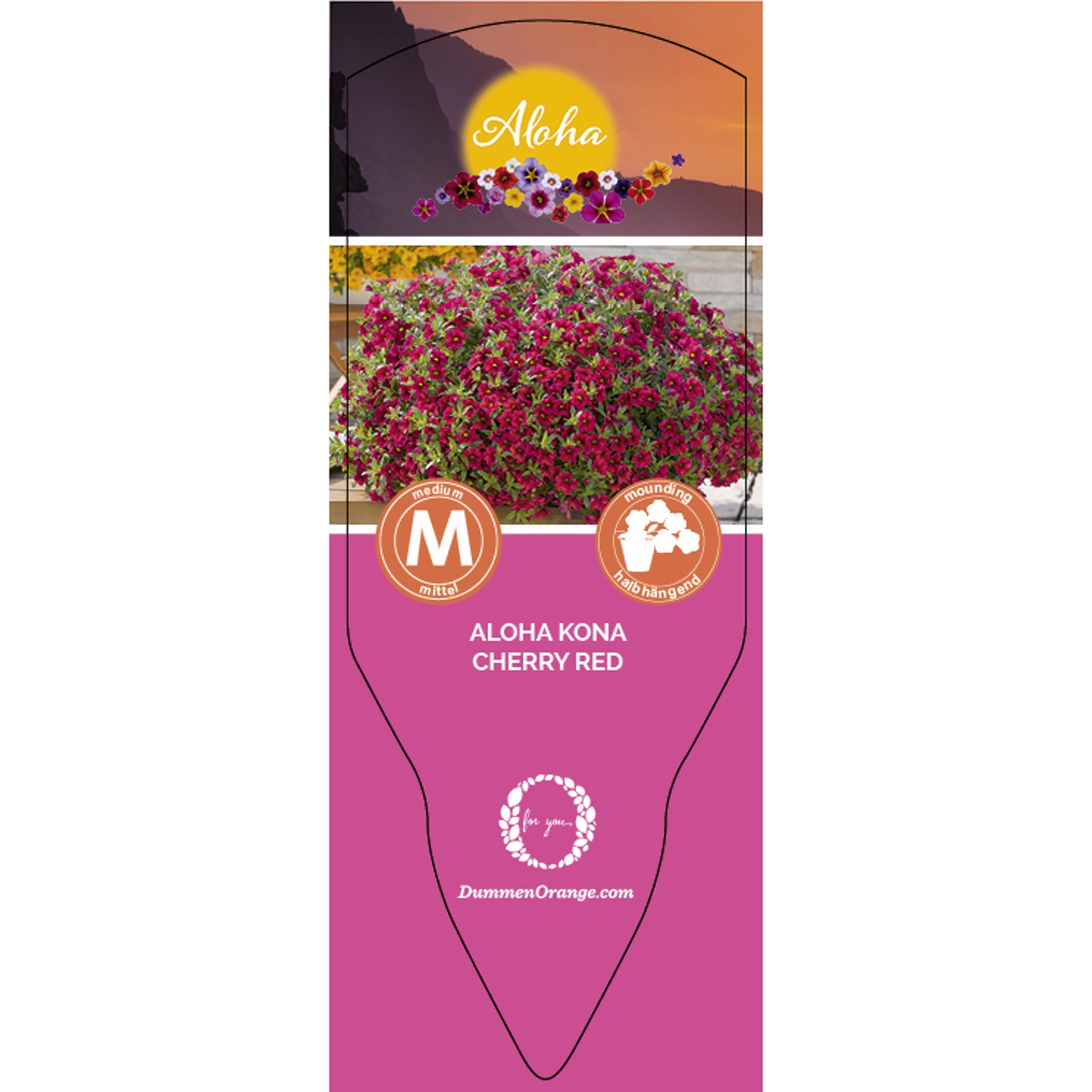 Tag Aloha Kona Cherry Red