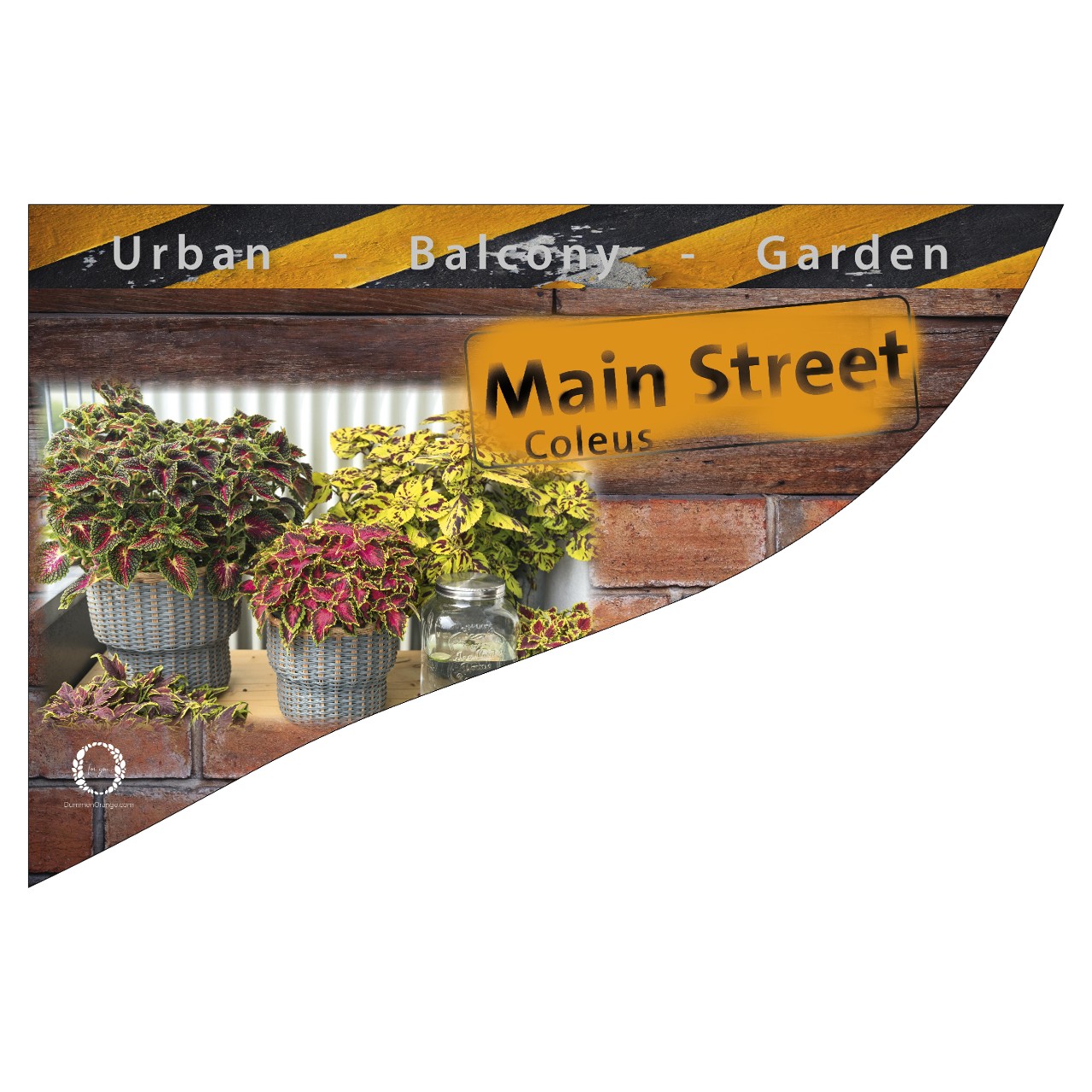 CC- Banner Mainstreet 50x35 cm