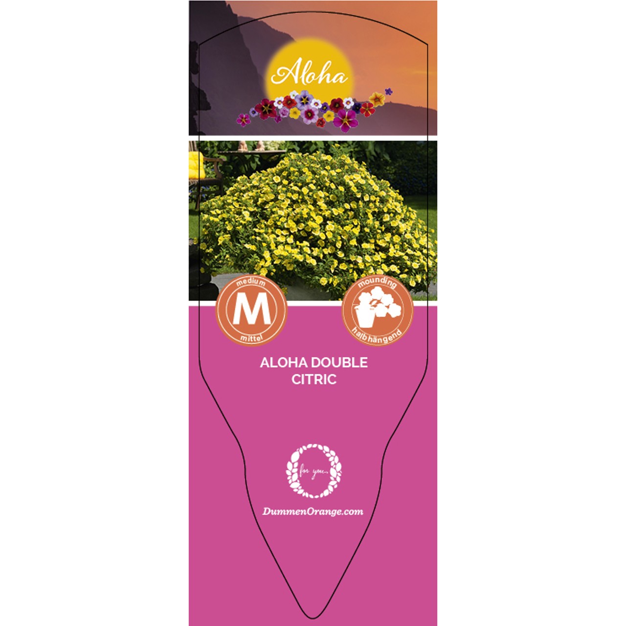 Tag Aloha Double Citric