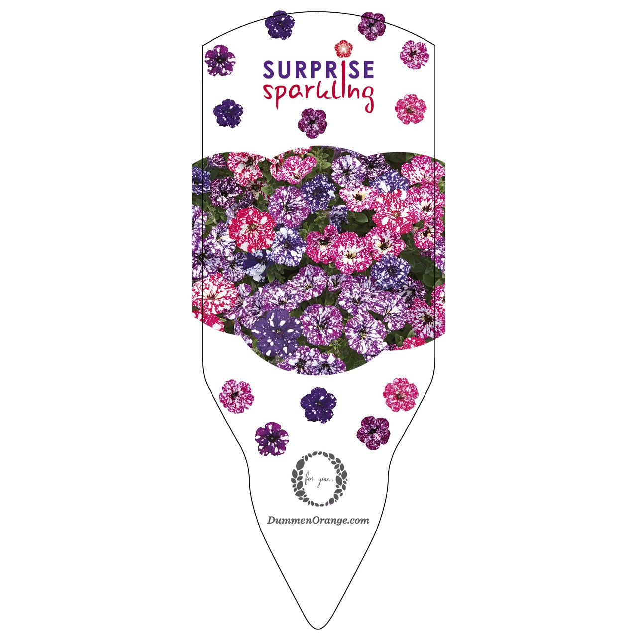 Tag Series Surprise Sparkling