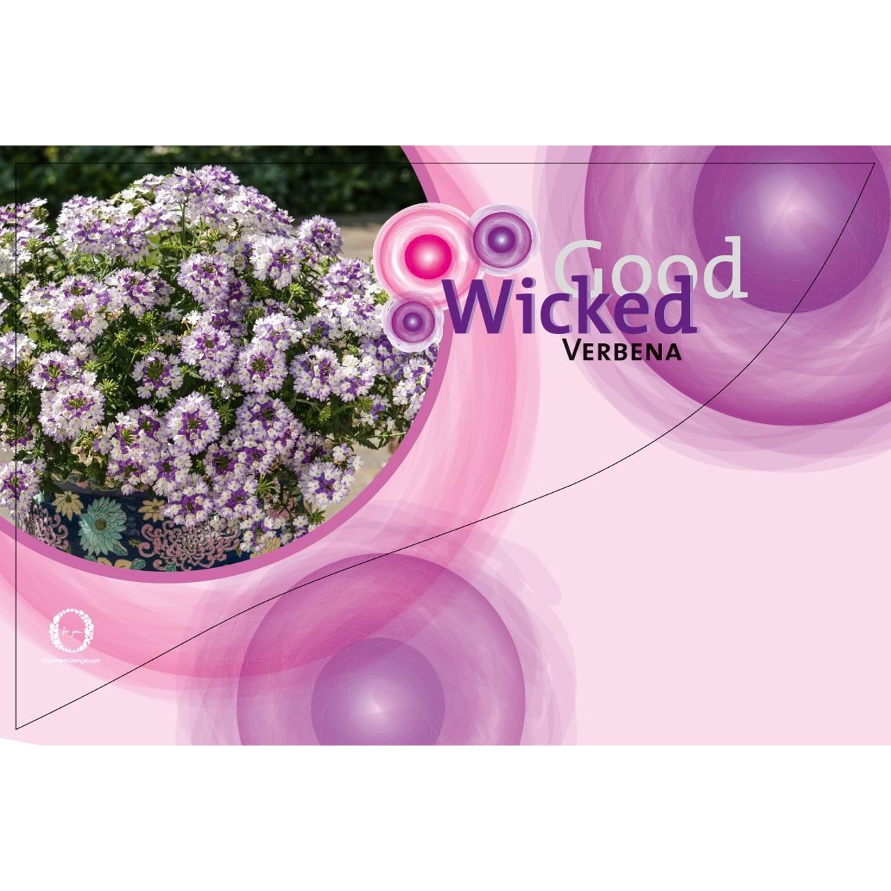 CC-Banner Wicked 50x35 cm