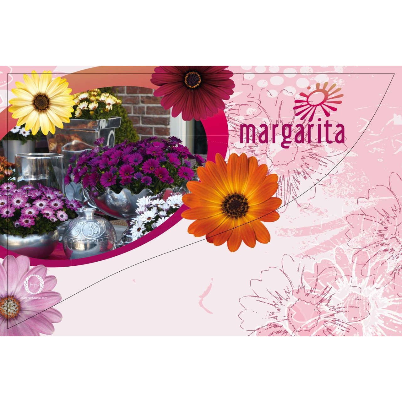 CC-Banner Margarita
