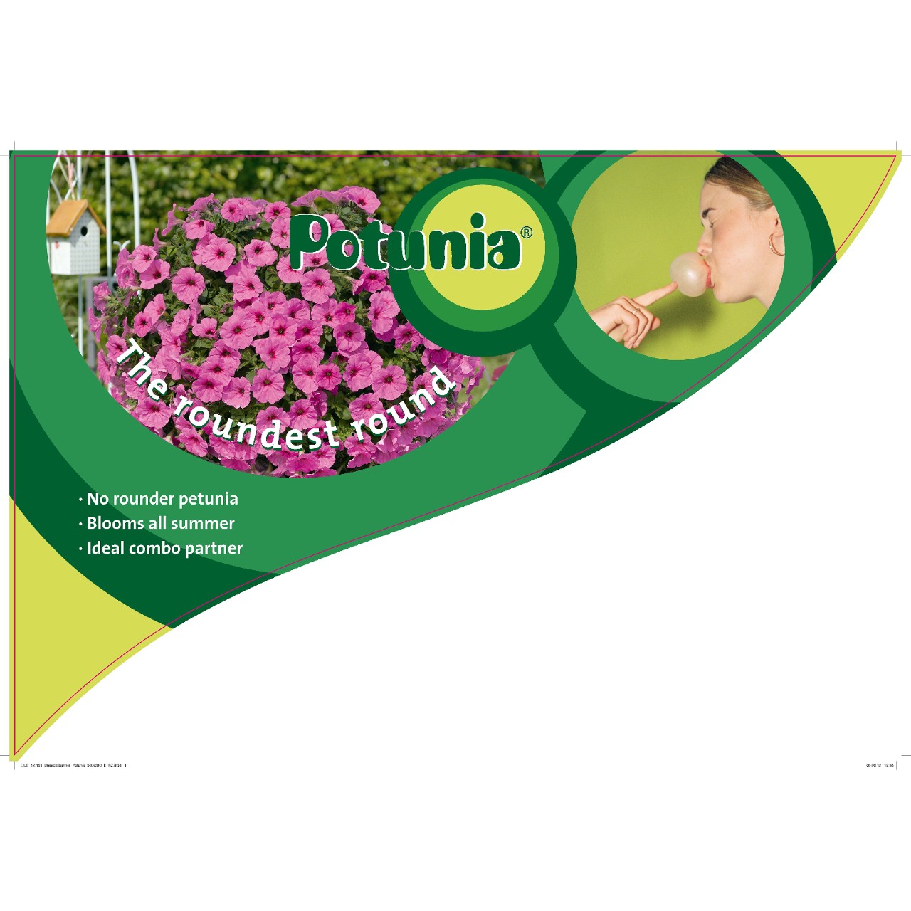 CC-Banner Potunia 50x35 cm GB